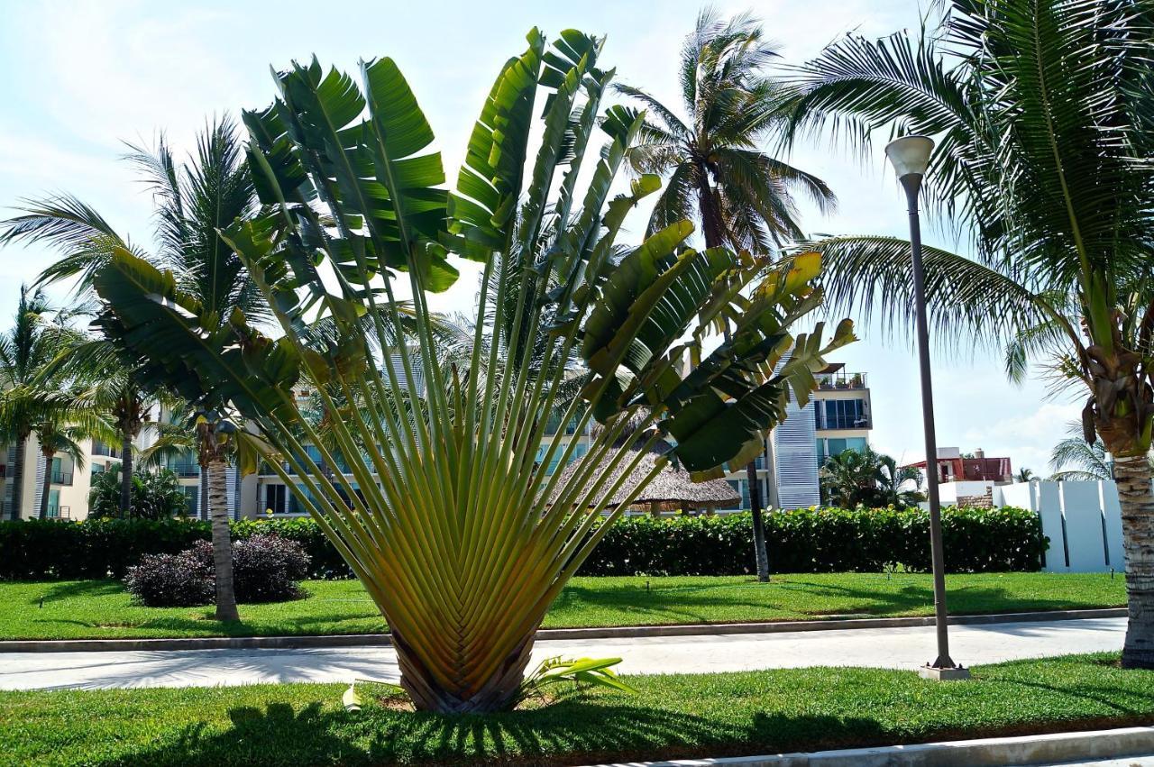 Penthouse Con Jacuzzi En Acapulco Diamante Apartamento Exterior foto